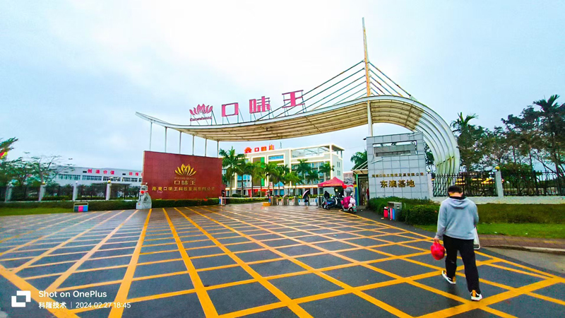 Hainan---Food-Industry---Betel-Nut-Automatic-Seed-Washing,-Roasting,-and-Hanging-Production-Line2